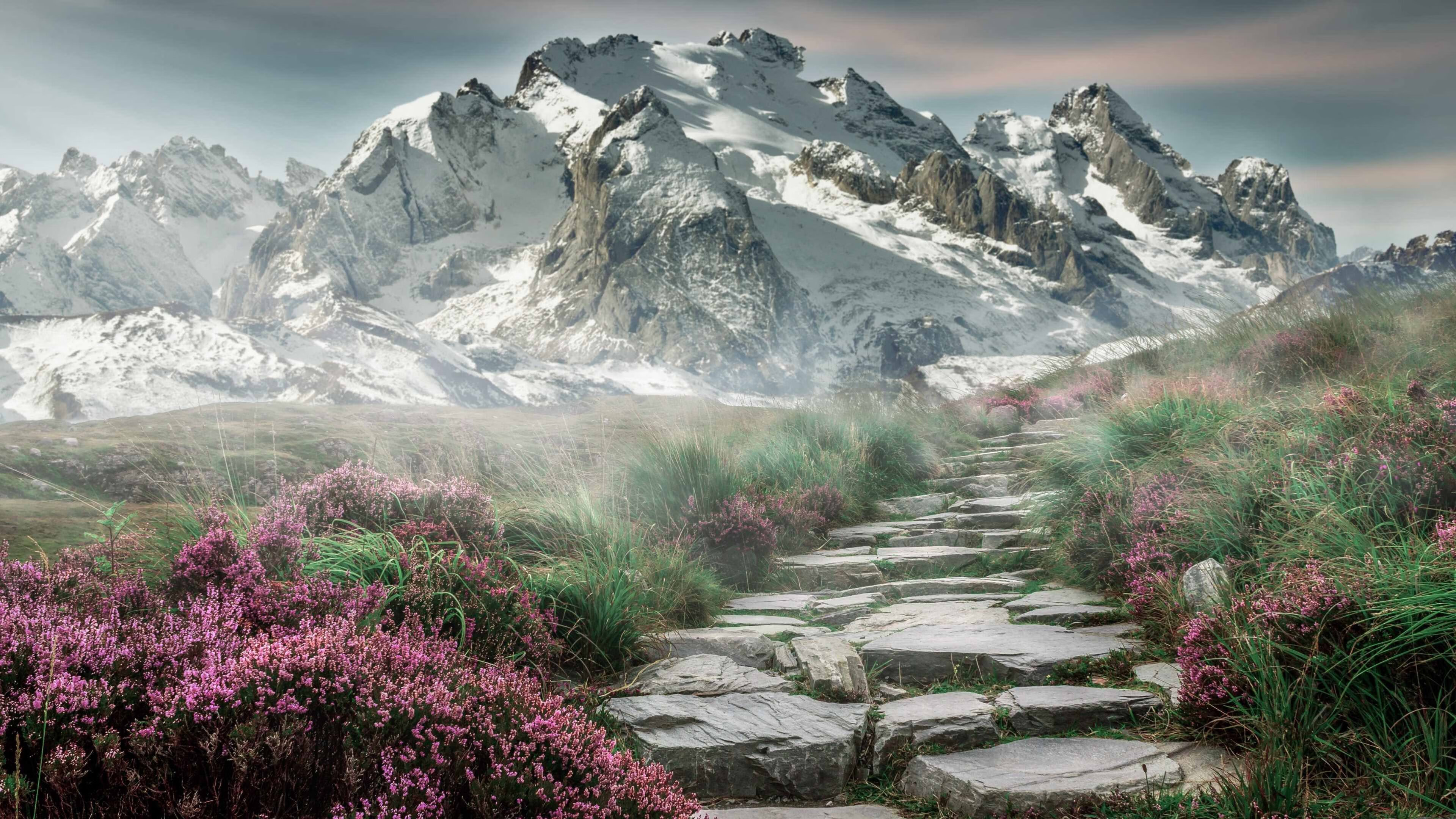 沉默风暴,霍勒迪以无形之力点燃密尔沃基的胜利之夜