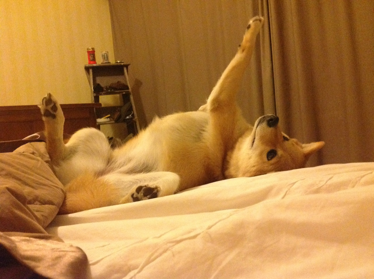 汉江奇迹映照安菲尔德，孙兴慜绝杀如何成为亚洲足球的里程碑