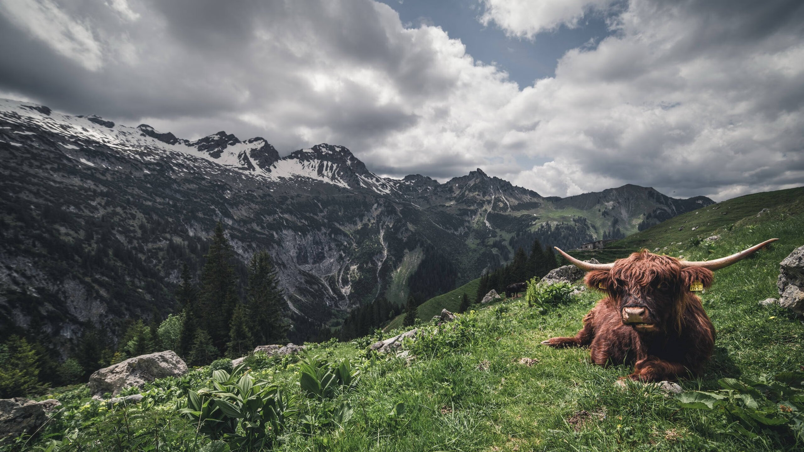 莫德里奇的倒戈一击,当传奇点燃对手的胜利火焰