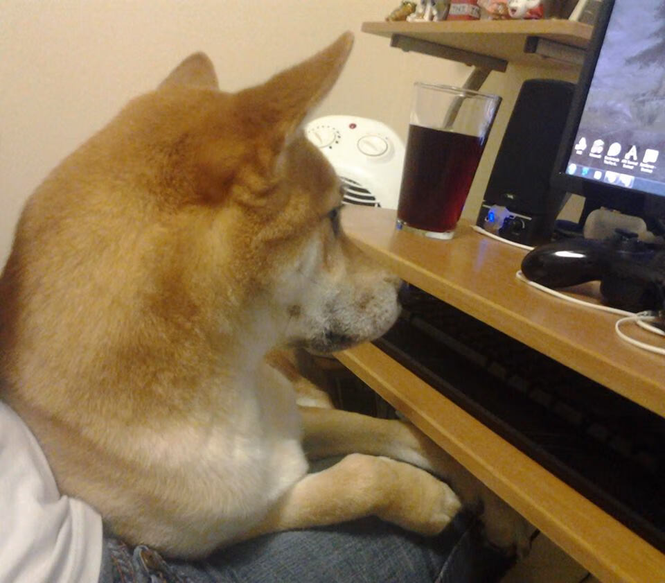 戈贝尔26+19攻防一体，掘金主场5连胜轻取吉林队