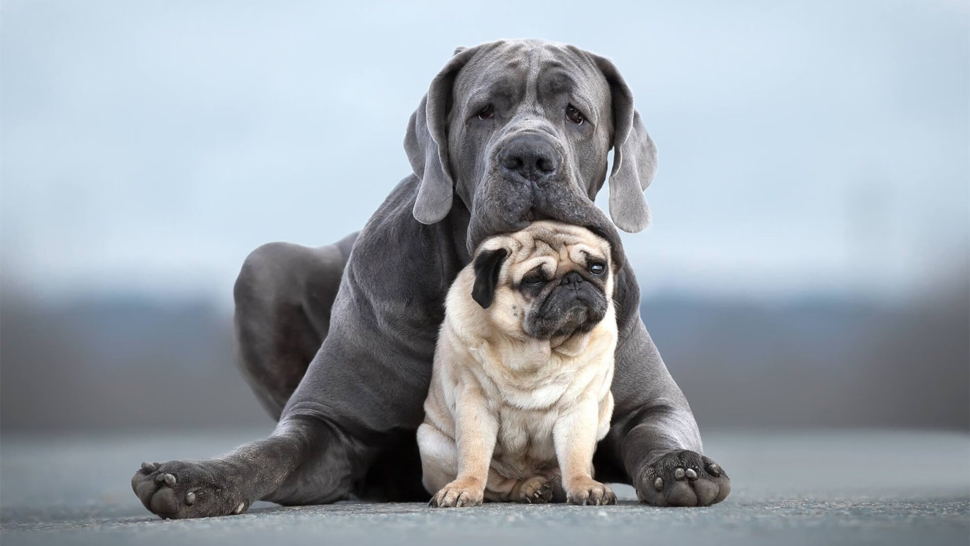足球启示录，当德甲战术交响曲遇见洪都拉斯的草根革命