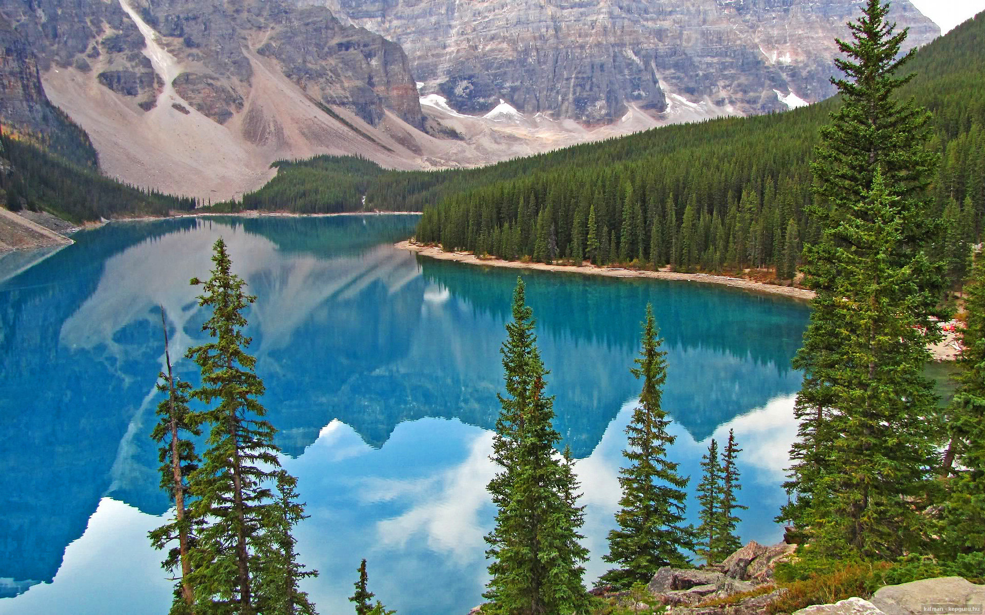 逆转的血脉，从火箭到塔图姆，跨越赛场的精神传承