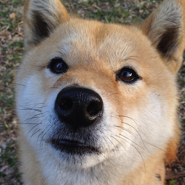 双城记，恩比德与塔图姆，在各自战场上的超级巨星时刻