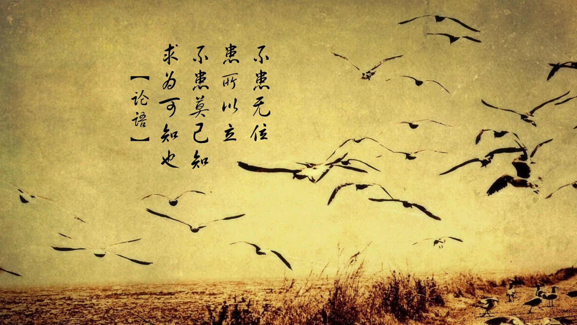 欧文觉醒！北京16-0进攻狂潮的背后，那个男人如何撕裂对手