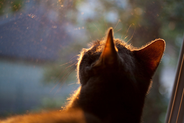铁壁金玟哉与北欧风暴—当个人英雄主义与团队硬仗在绿茵场交汇