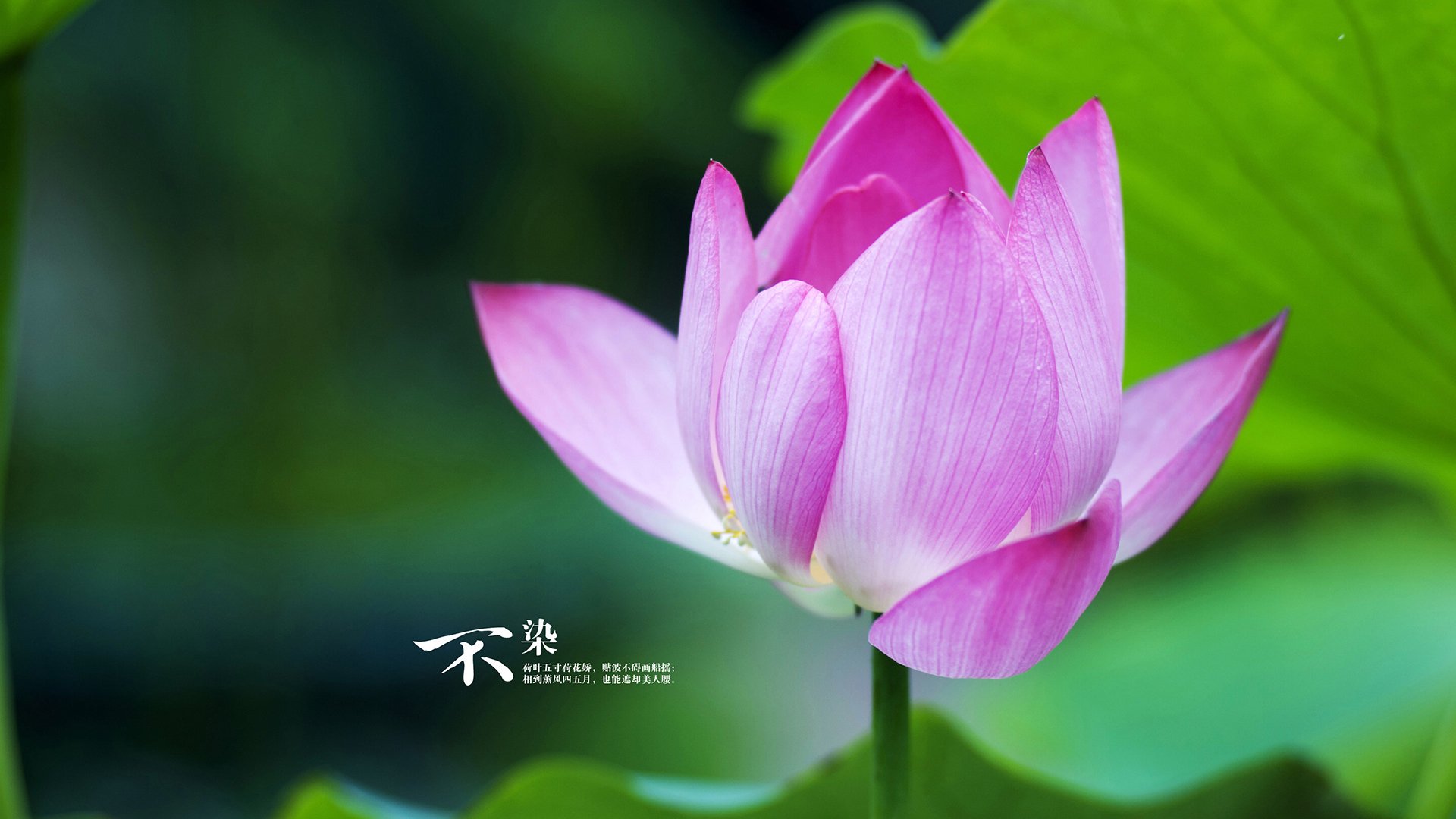 草根篮球的逆袭雪夜，山西队鏖战76人，班凯罗发挥堪称完美