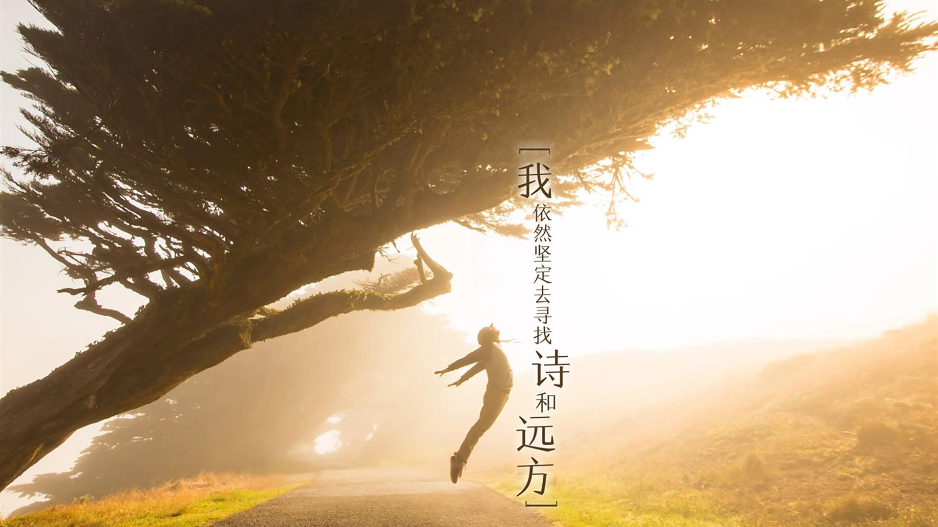 暗夜重剑，霍勒迪在东决硝烟中劈出的沉默之路