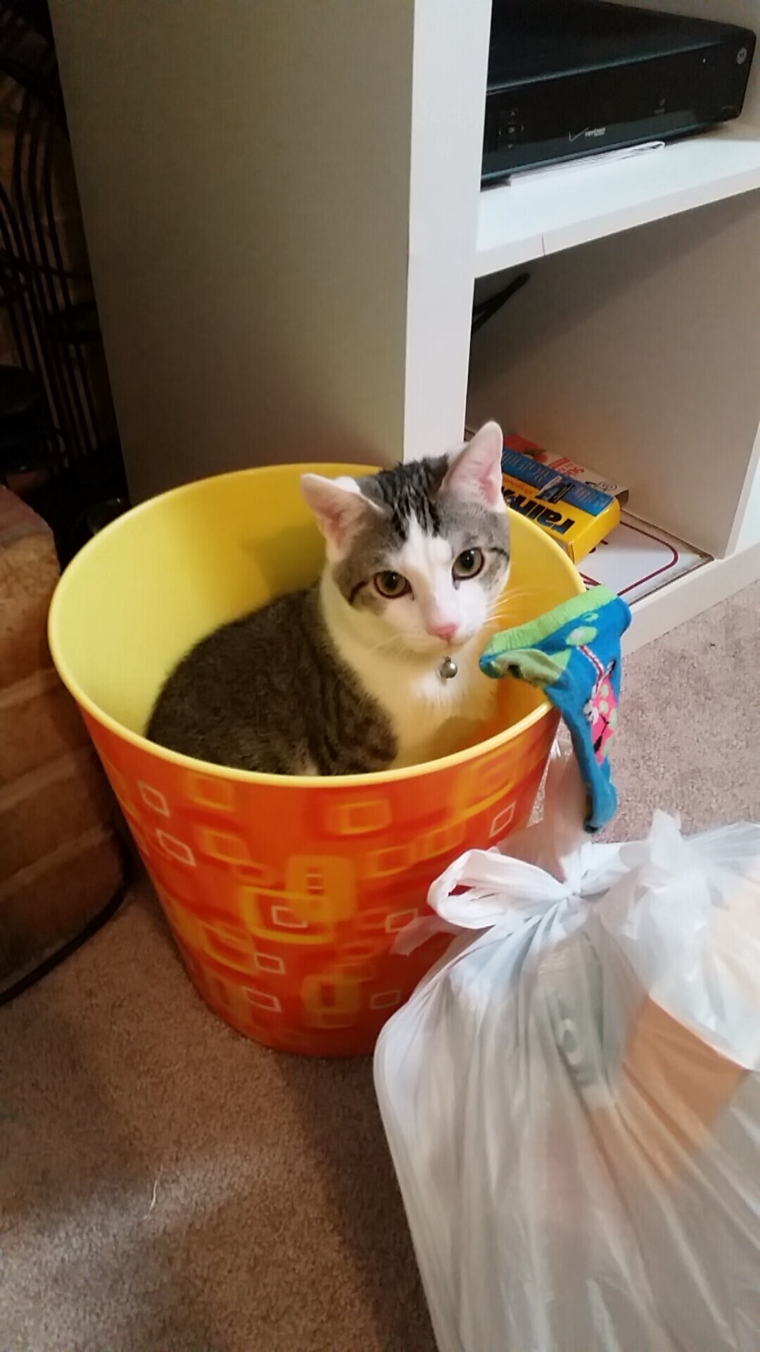 唯一性对决，莫兰特跨联赛炫技，辽宁队与76人的梦幻交锋