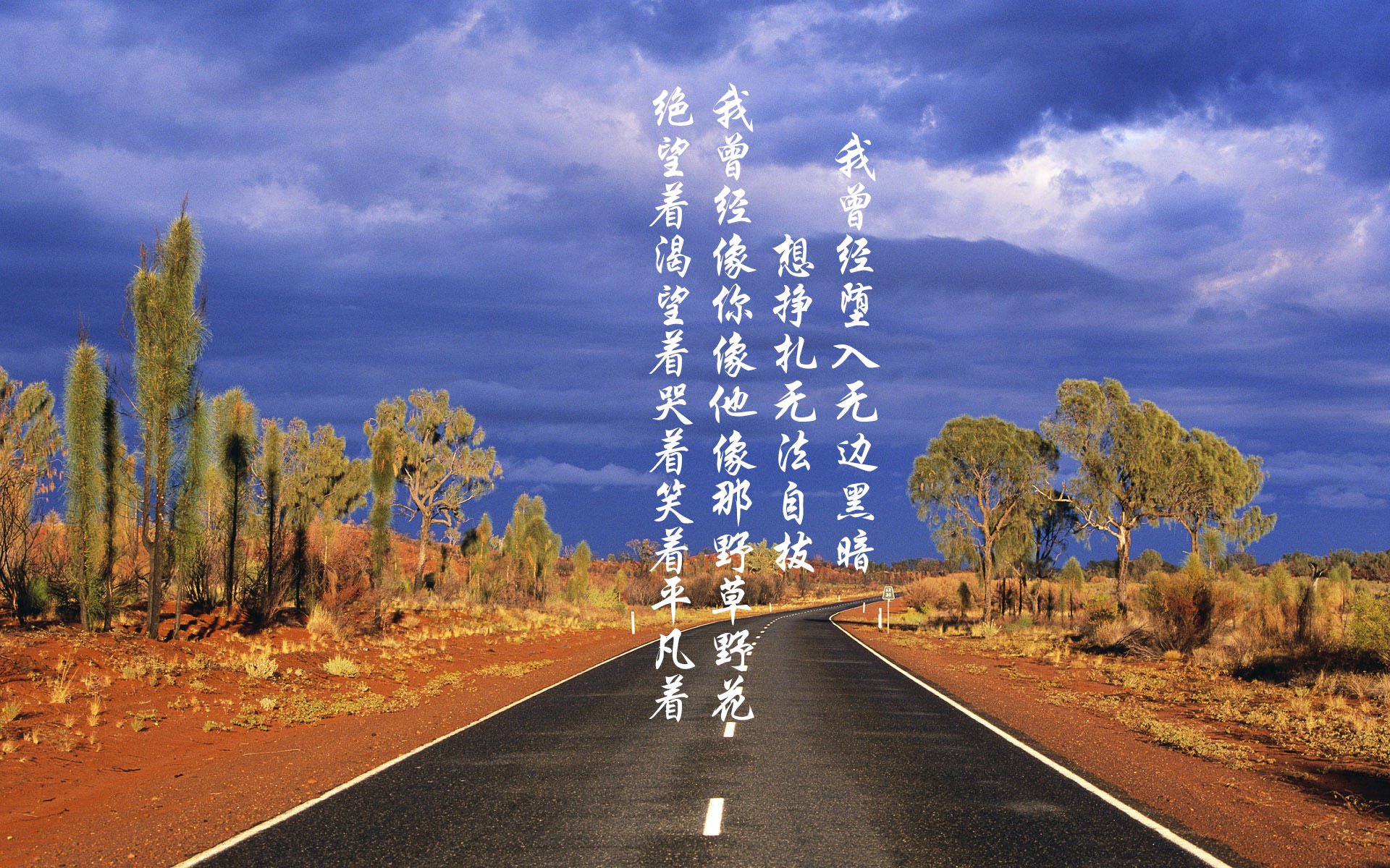 逆转之夜，2026世界杯C组风云突变，维尼修斯独舞点燃匈牙利奇迹