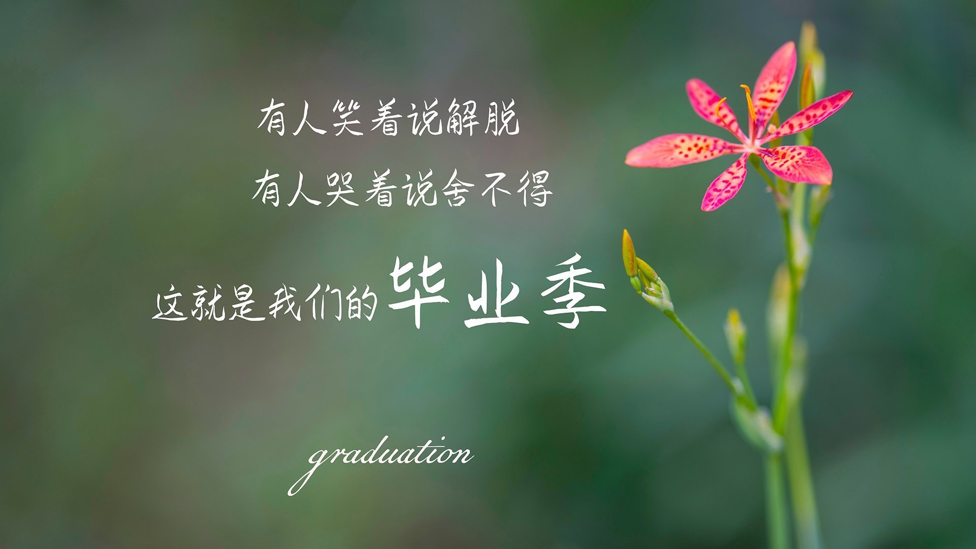 烽火B组,厄瓜多尔横扫伊朗,魔笛绝响奏响命运交响曲