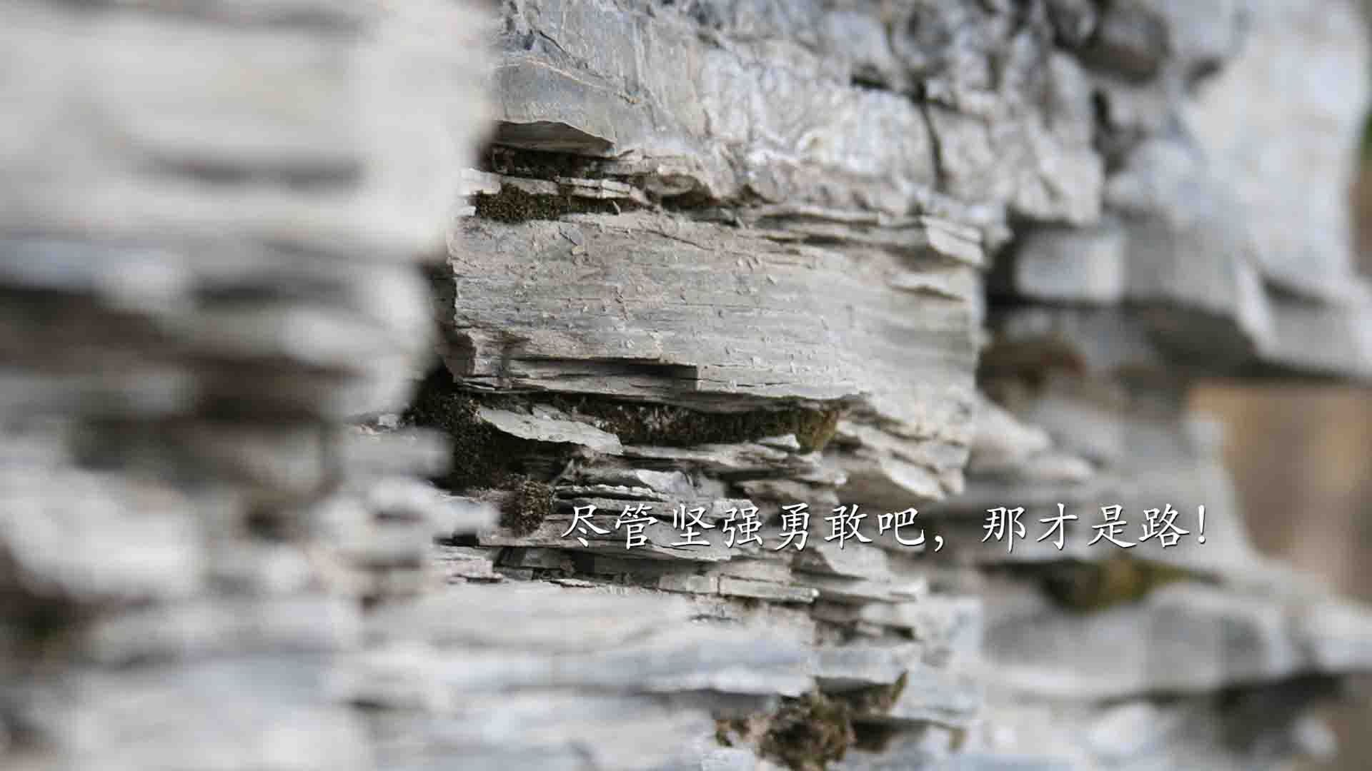 九十分钟的永恒,2026世界杯巅峰对决,澳大利亚完胜挪威,托纳利用双脚写下唯一传奇